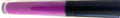 Painted Velvet Wild Orchid